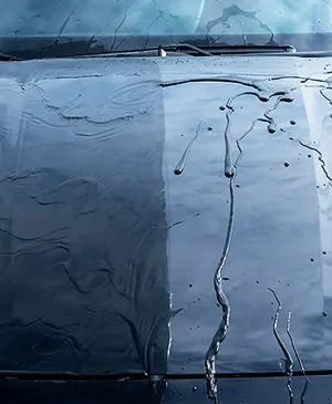 Water beading on car hood after ceramic coating in Clayton NC.