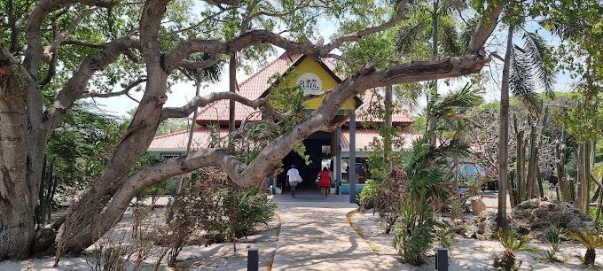 Playa Beach Club Curacao