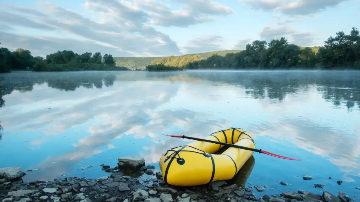 Brave New Beginnings: Midlife Woman’s Guide to Fearless Career Change