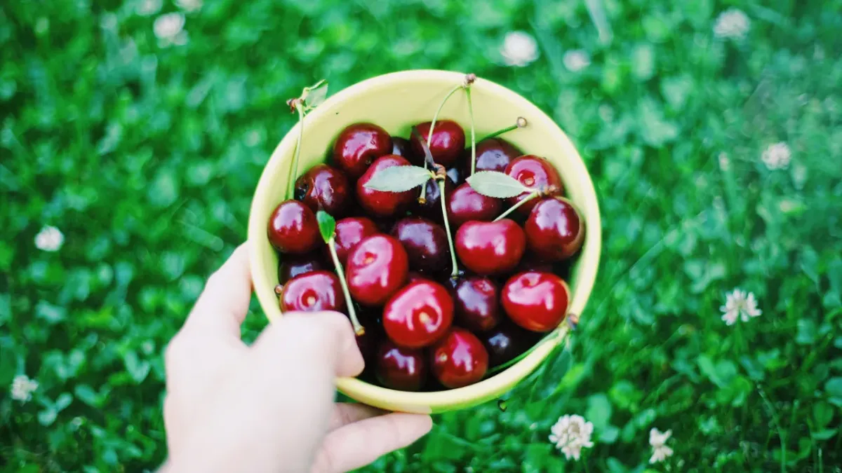 My Summer Reading Adventure: From Cherry Trees to Untapped Potential