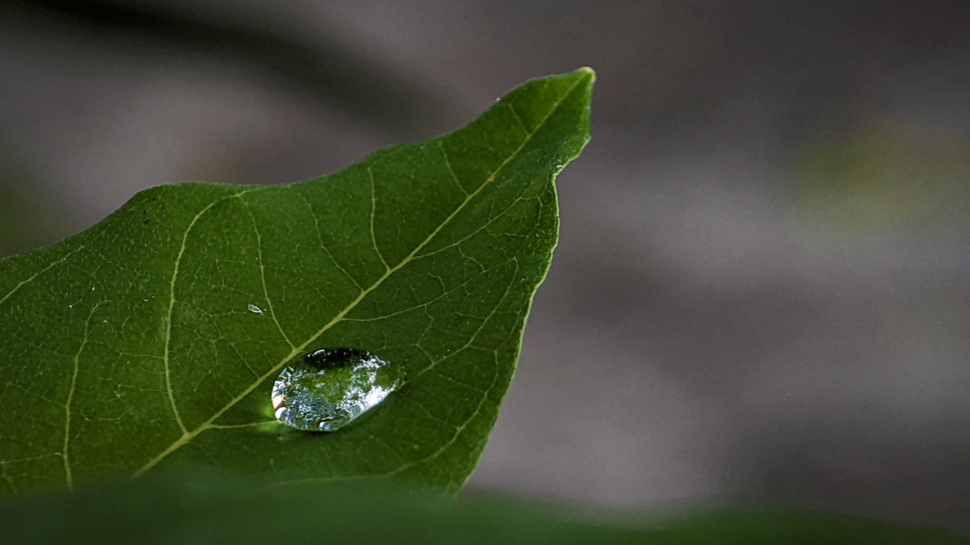 Your Energy is Your Greatest Leadership Currency (And It's Time to Start Protecting It)