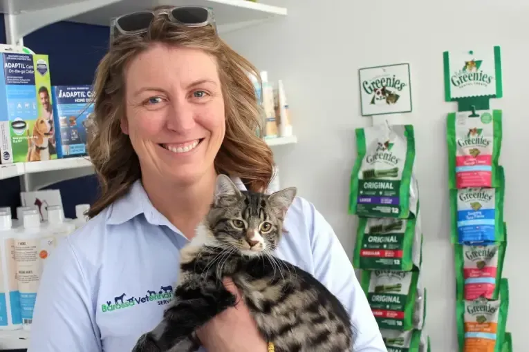 Dr Catherine Harper: A Trailblazing Entrepreneur Shaping the Veterinary Industry in Australia