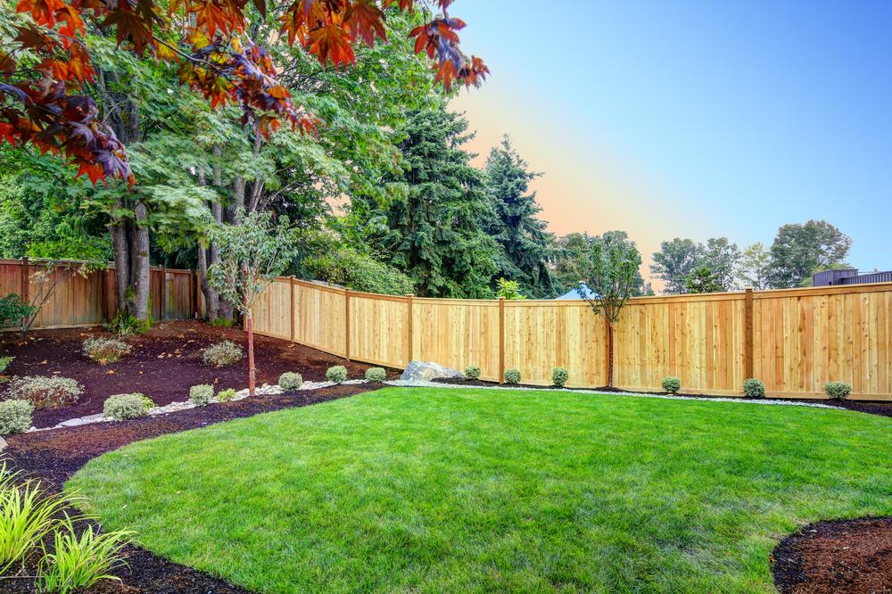 Sustainable Landscaping Practices to Save Water in Utah Gardens