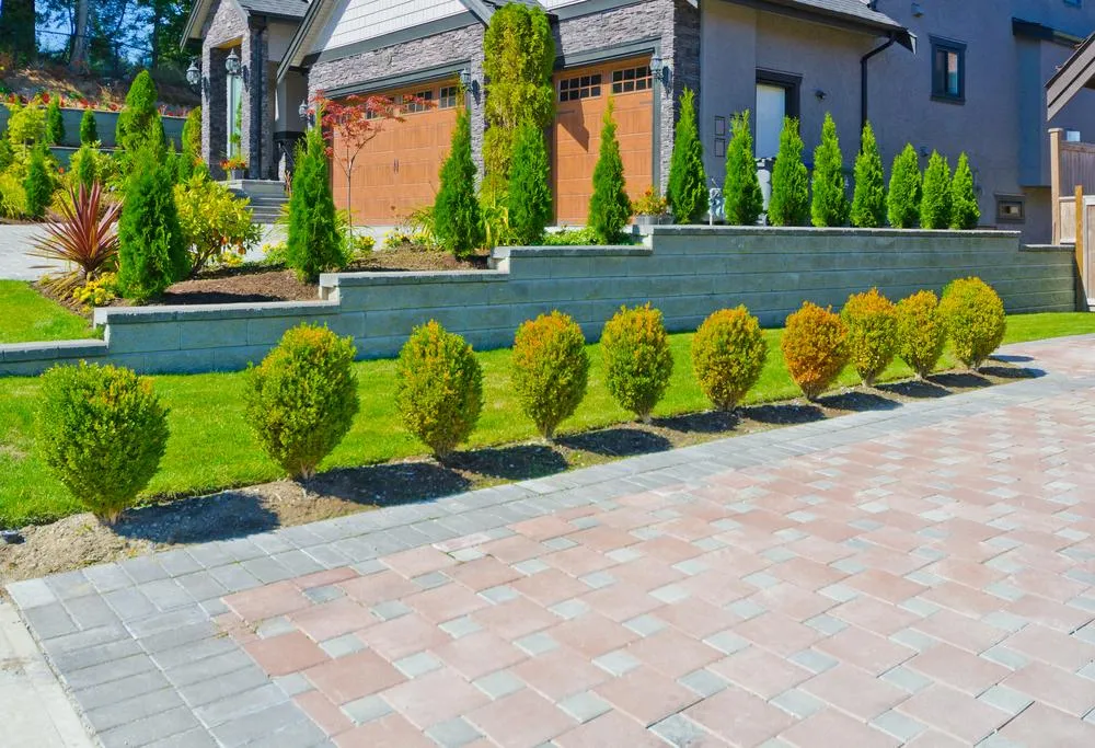 Best Native Plants for Low-Maintenance Landscaping in Utah County