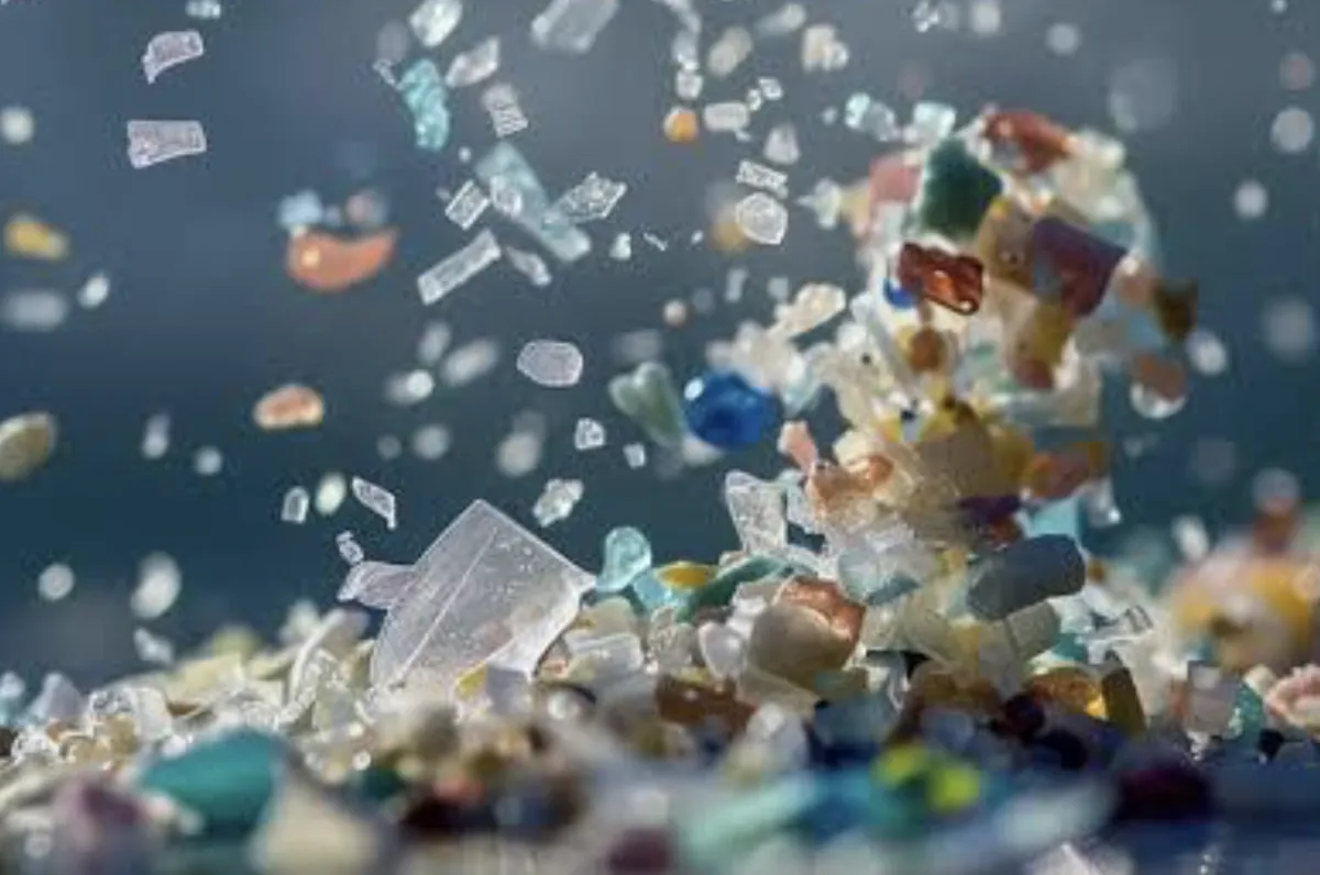 7 Ways to Keep Plastic Where It Belongs—Not in You
