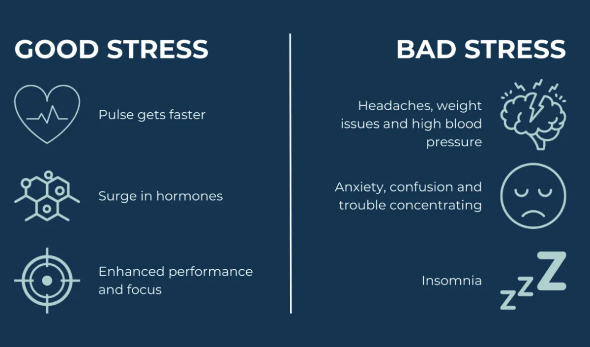 Turns Out, You’re Wired for This
