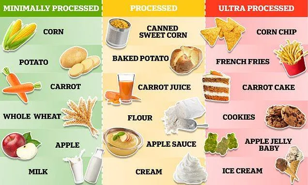 Different levels of processing proved to impact weight loss.