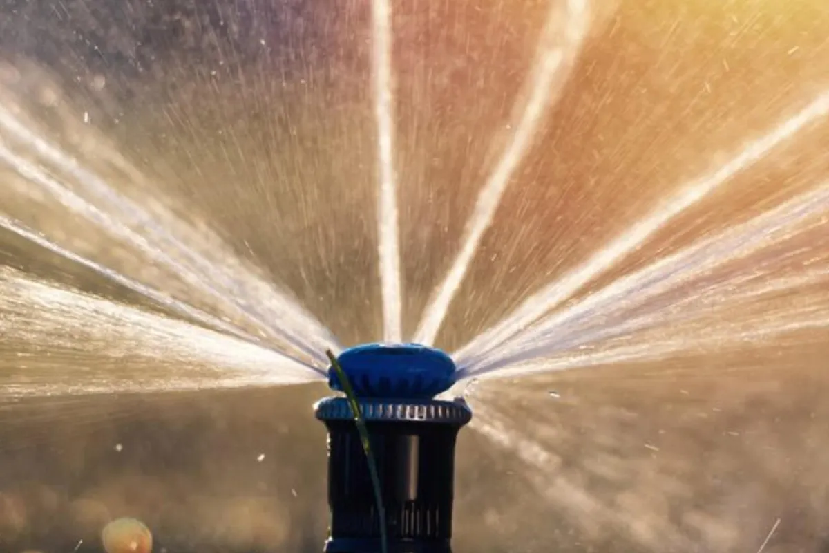 Sustainable Irrigation Practices for Connecticut Homeowners