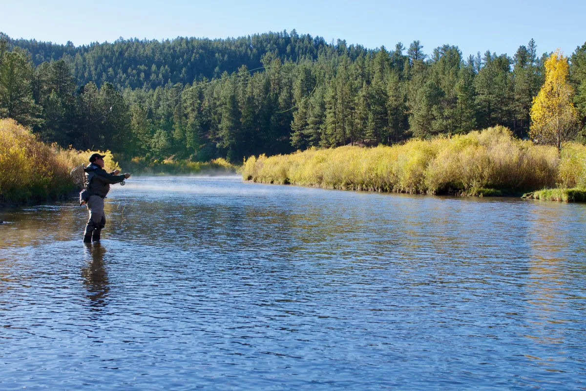 Best Time to Fly Fish in Montana: Seasons, Hatches & River Insights