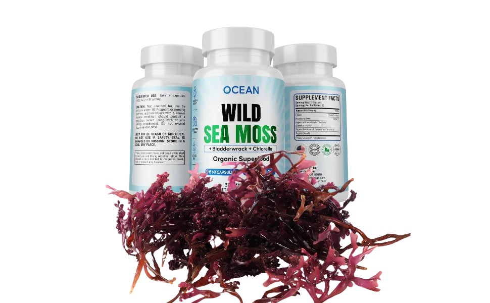 Sea Moss Capsule Benefits: Discover Potent Wellness Wonders