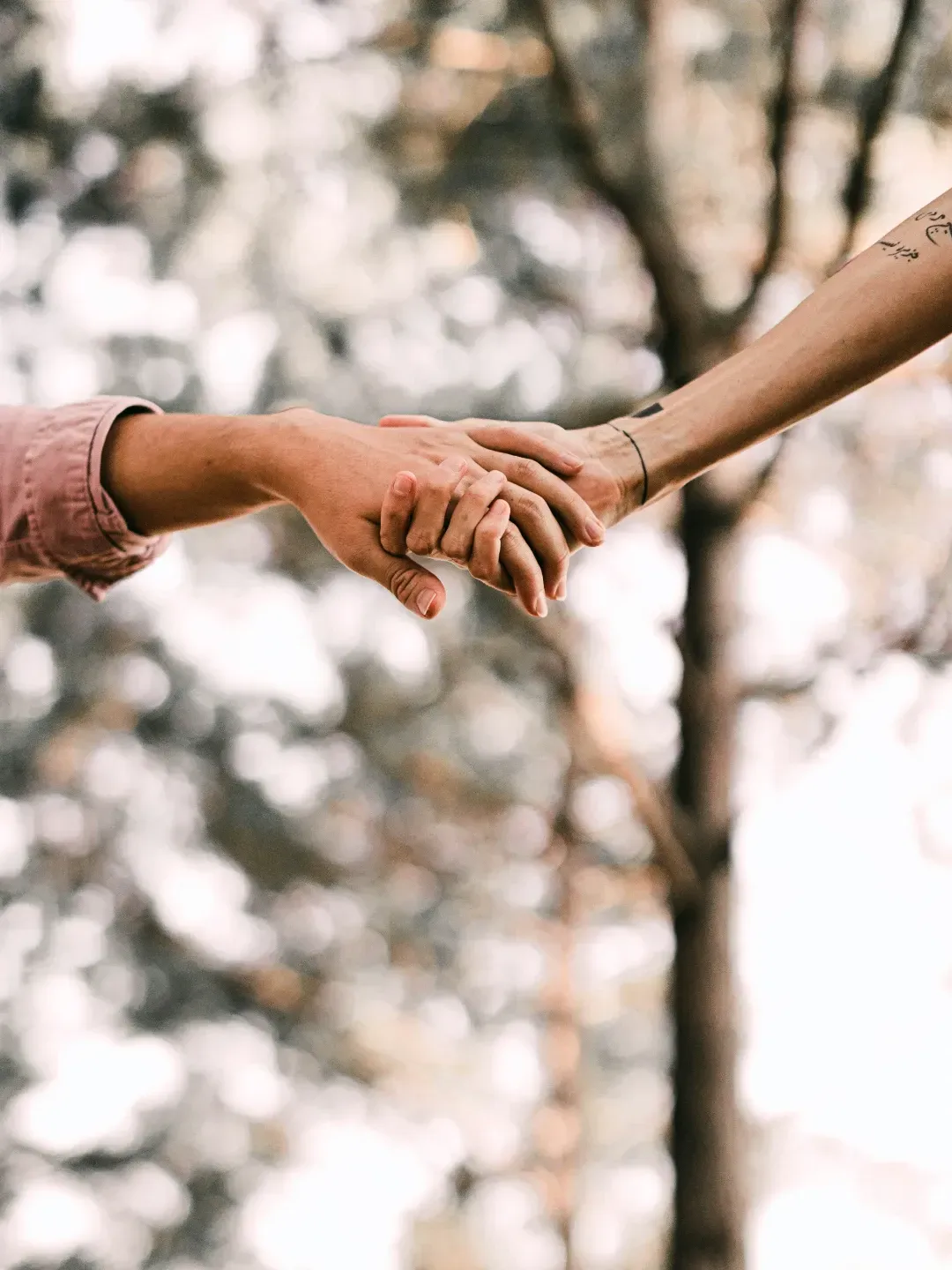 two people holding hands with trees in the background