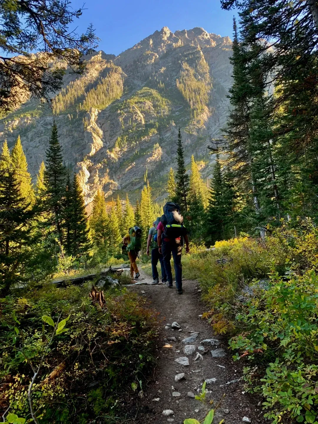 Hiking, Medical Parenting, and Possibility