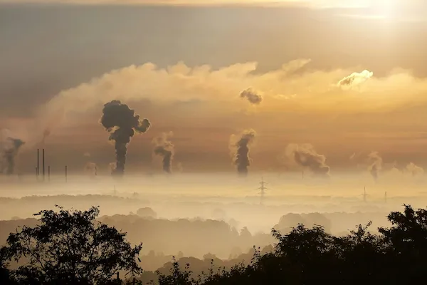 Thyroid Environmental Toxins