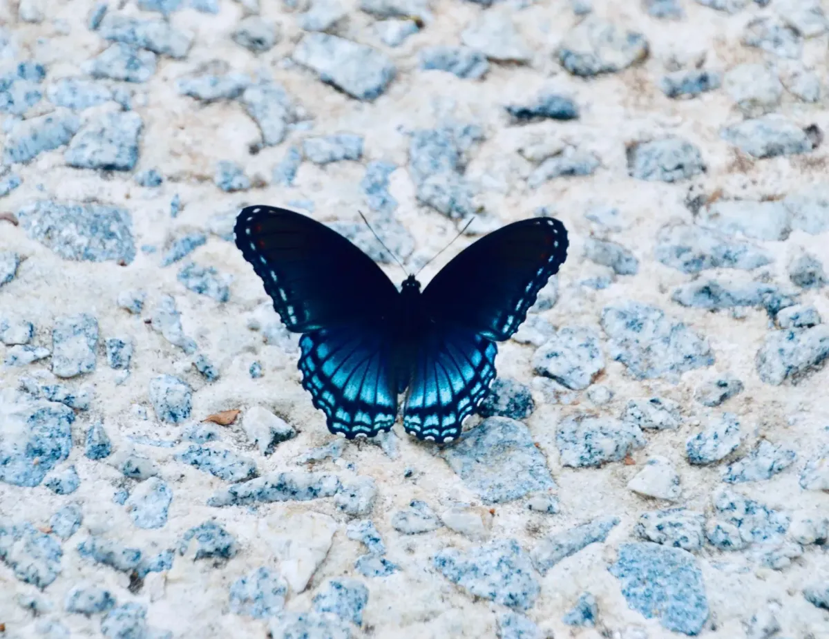 5 things I've learned about my thyroid since having hypothyroidism