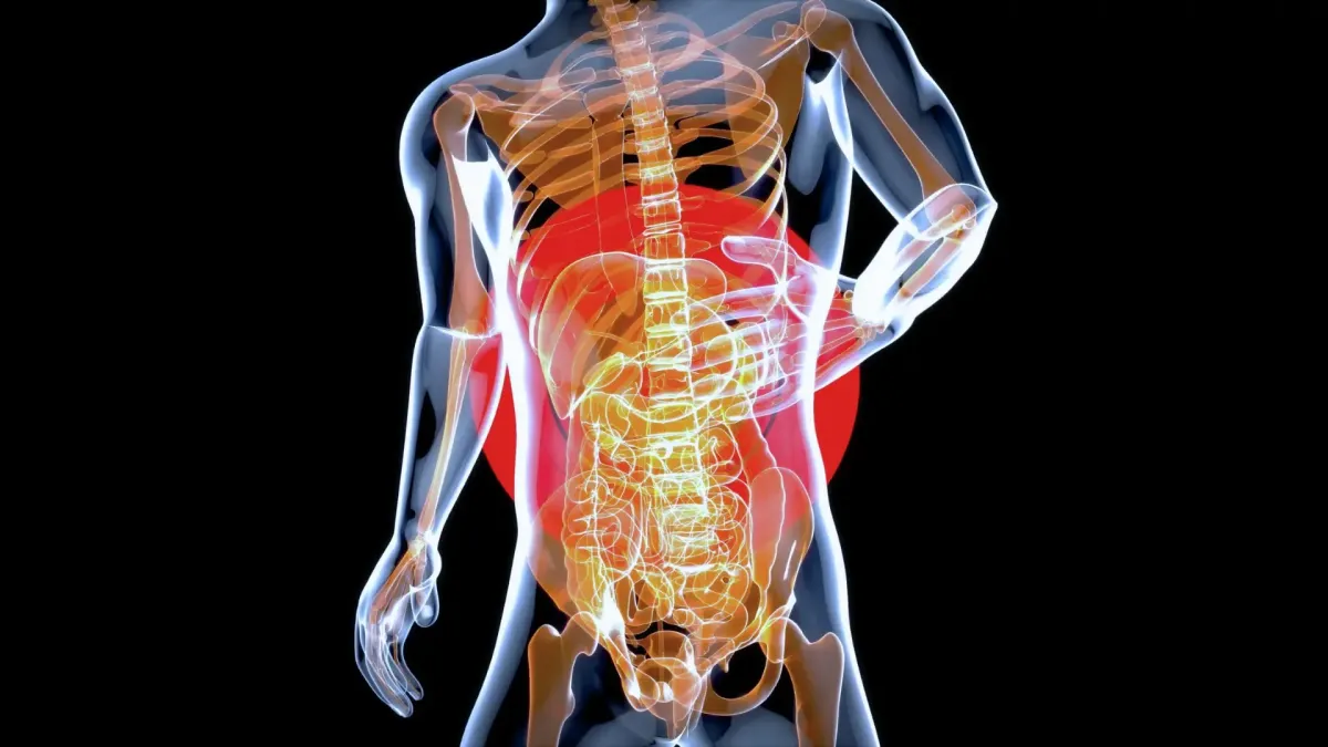 Is My Back Pain Muscle Pain or Disc Pain?