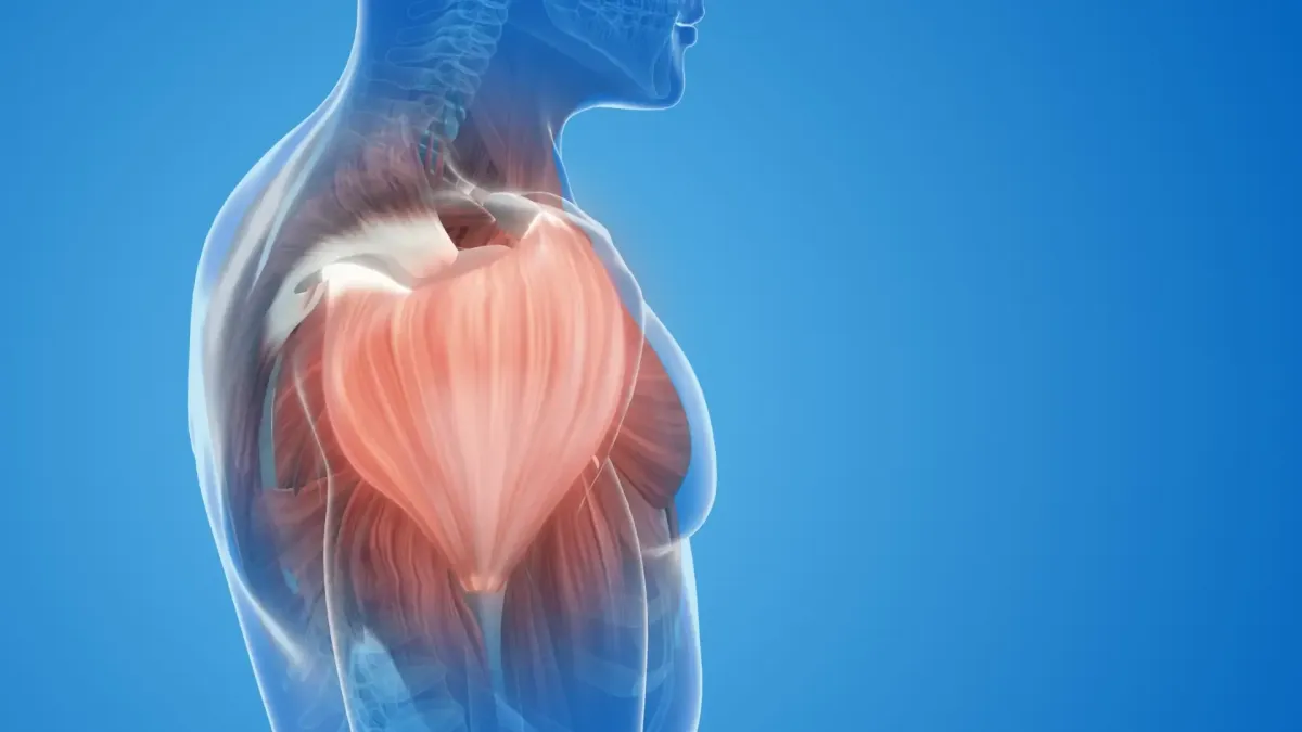 What is the most PAINFUL stage of FROZEN SHOULDER?