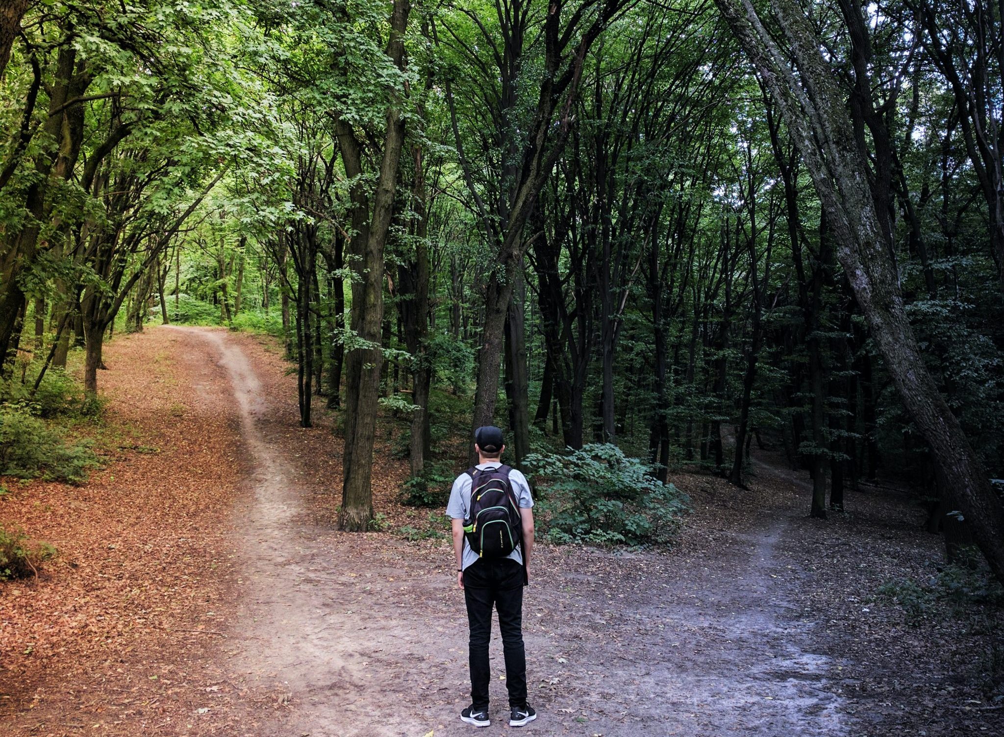 The Master Choice: The Dichotomy of Goals and Purpose