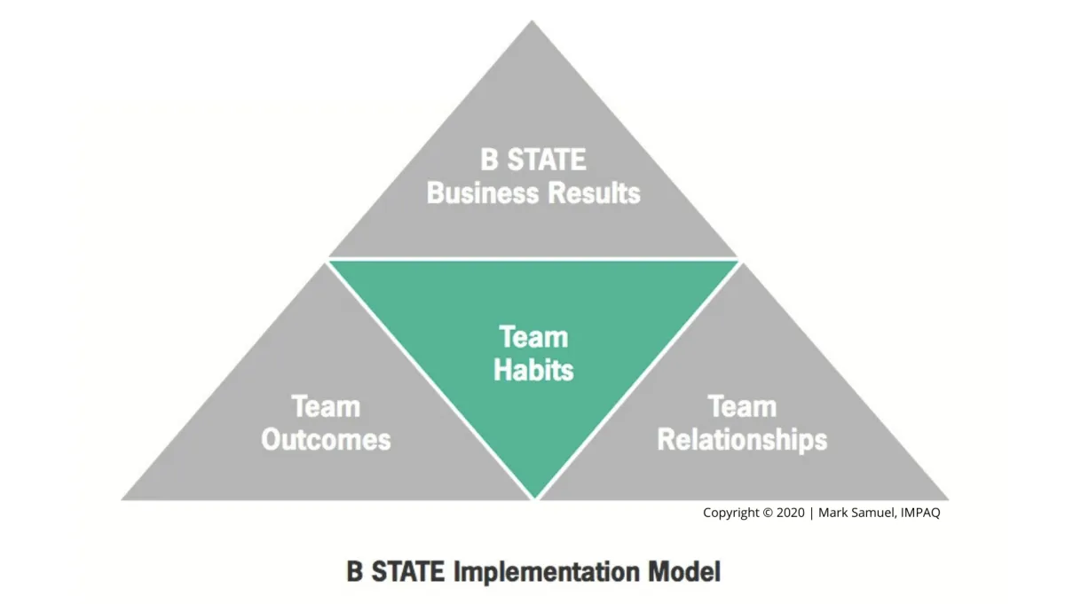 team habits the missing link for business and culture transformation