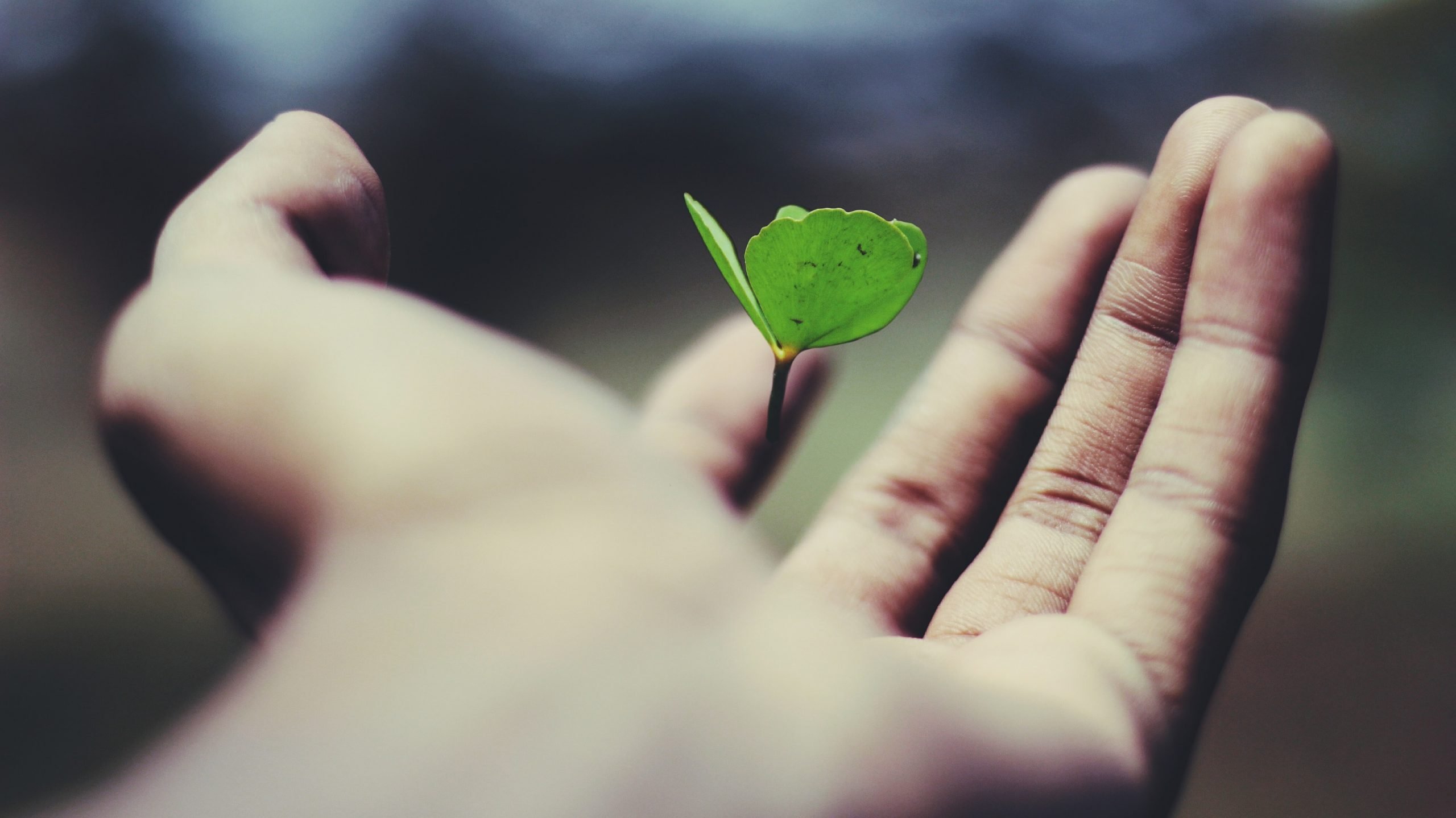 The Role Of Personal Development In Business
