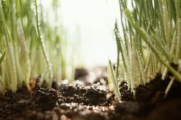 What is Hydromulching and Why It WorksBenefits and Real World Results
