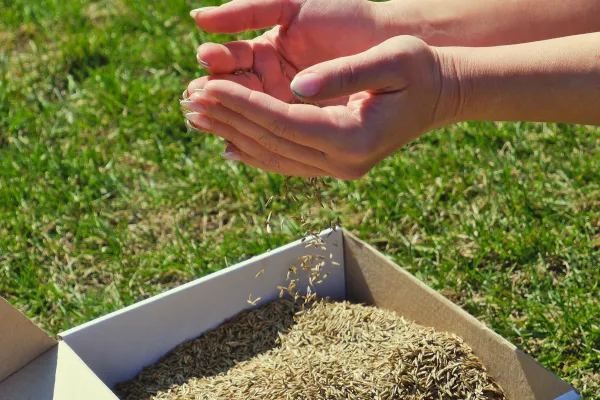 Hydromulching vs. Traditional Seeding: Which is Right for Your Residential Lawn?