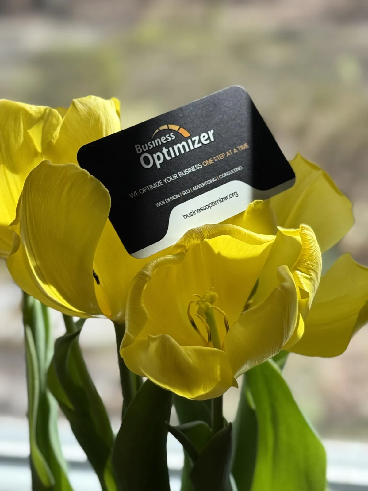 Business Optimizer July 2025 Newsletter
