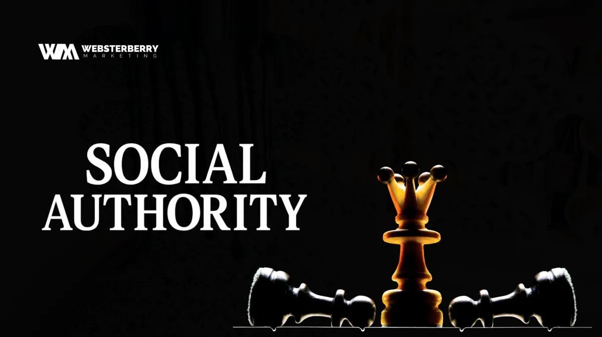 Social Authority WebsterBerry Marketing 