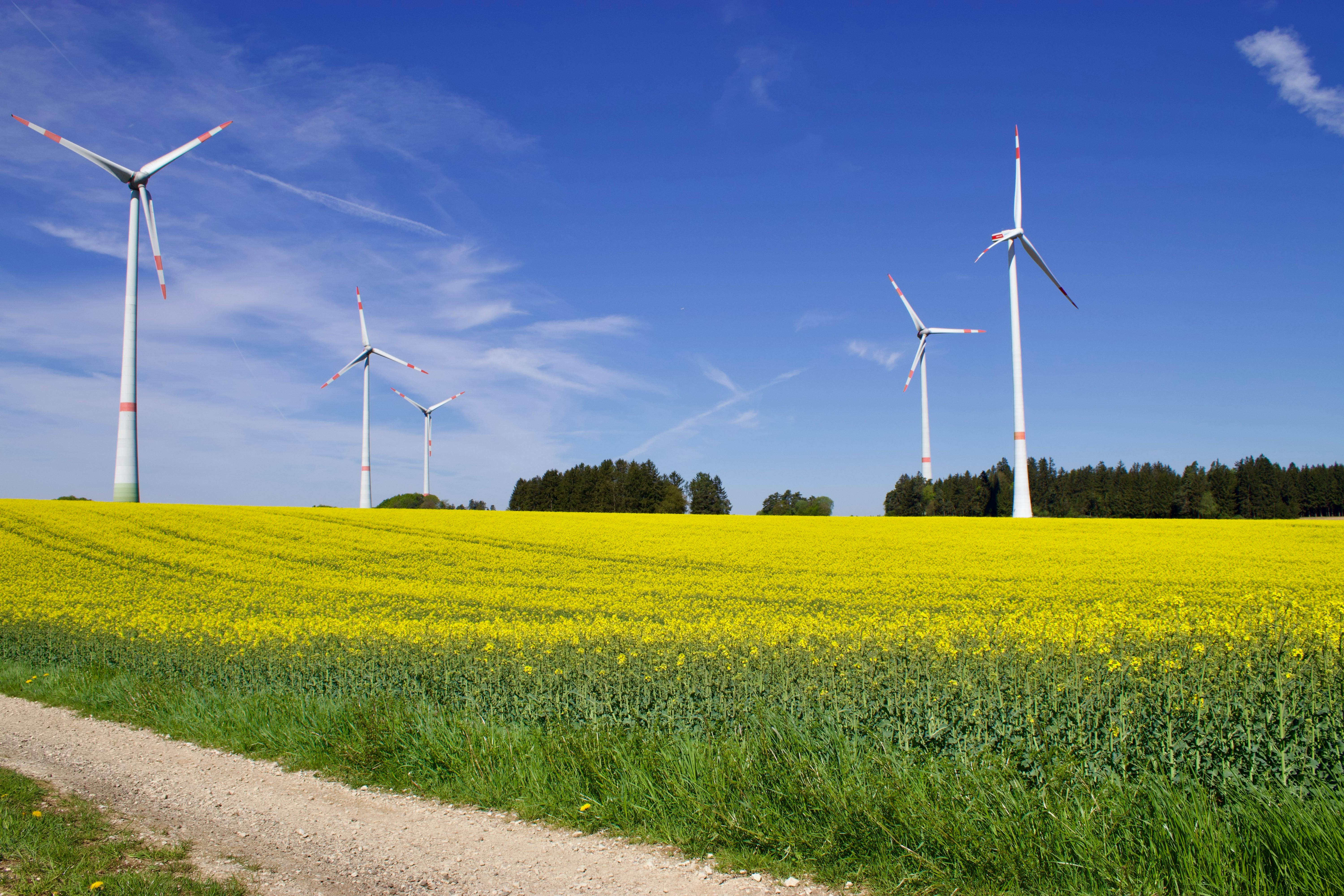 niskoemisyjna metalurgia