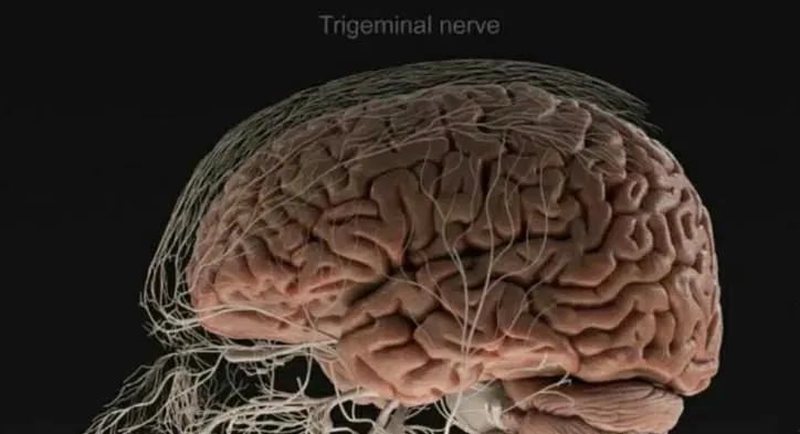La Salud Mental y el Sistema Heptadimensional: Un Marco para una Vida Plena y de Alto Rendimiento