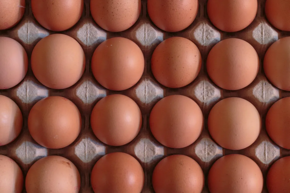 Eggs