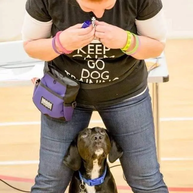 Is Your Dog Bonded With You