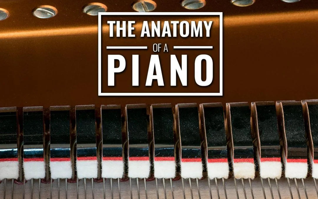 he Anatomy of a Piano: Understanding Your Instrument at Notable Music Academy Calgary