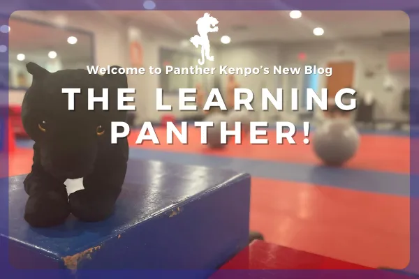 The Launch of The Learning Panther!