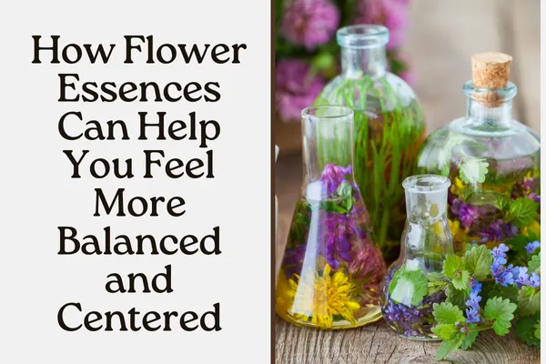 How Flower Essences Can Help You Feel More Balanced and Centered