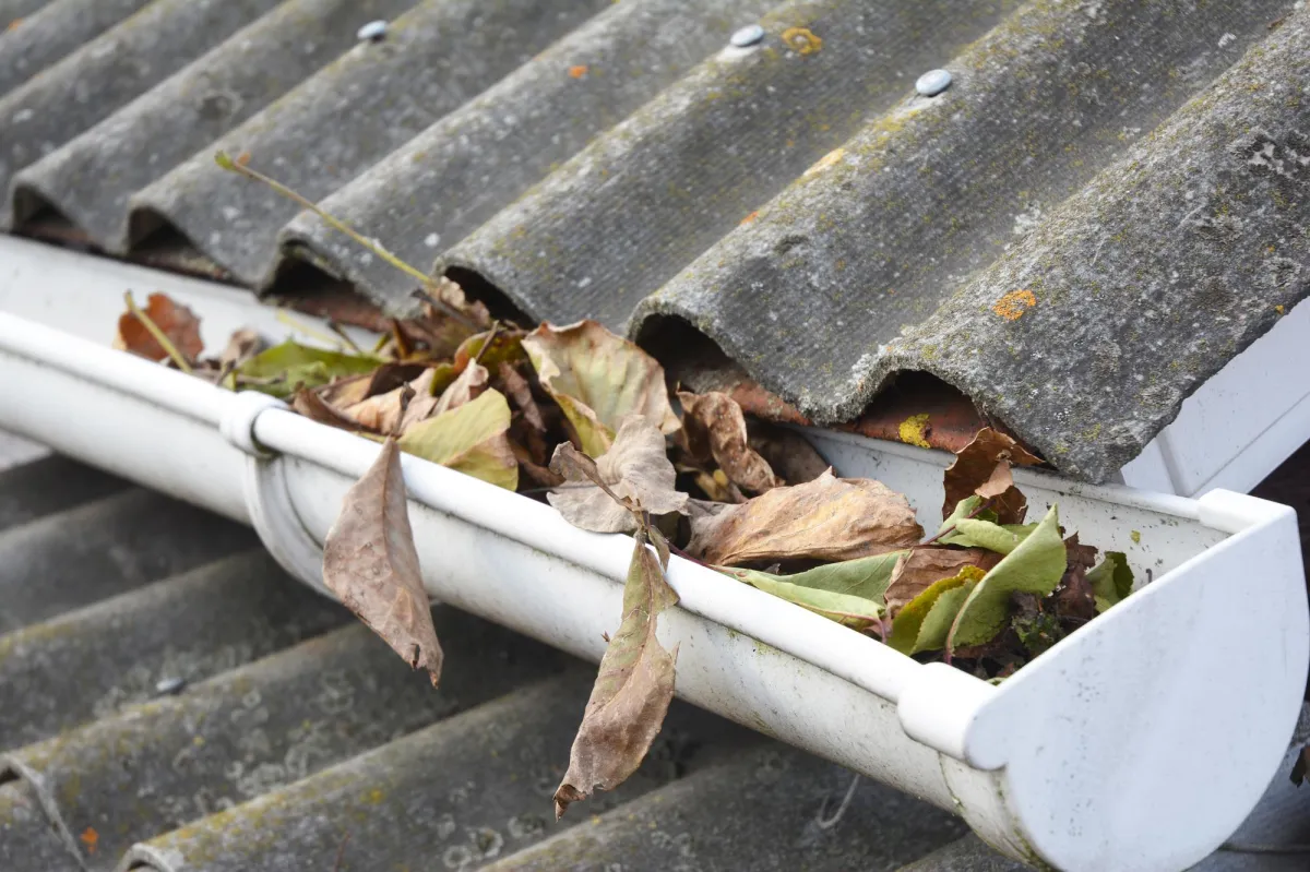 Baton Rouge Gutters