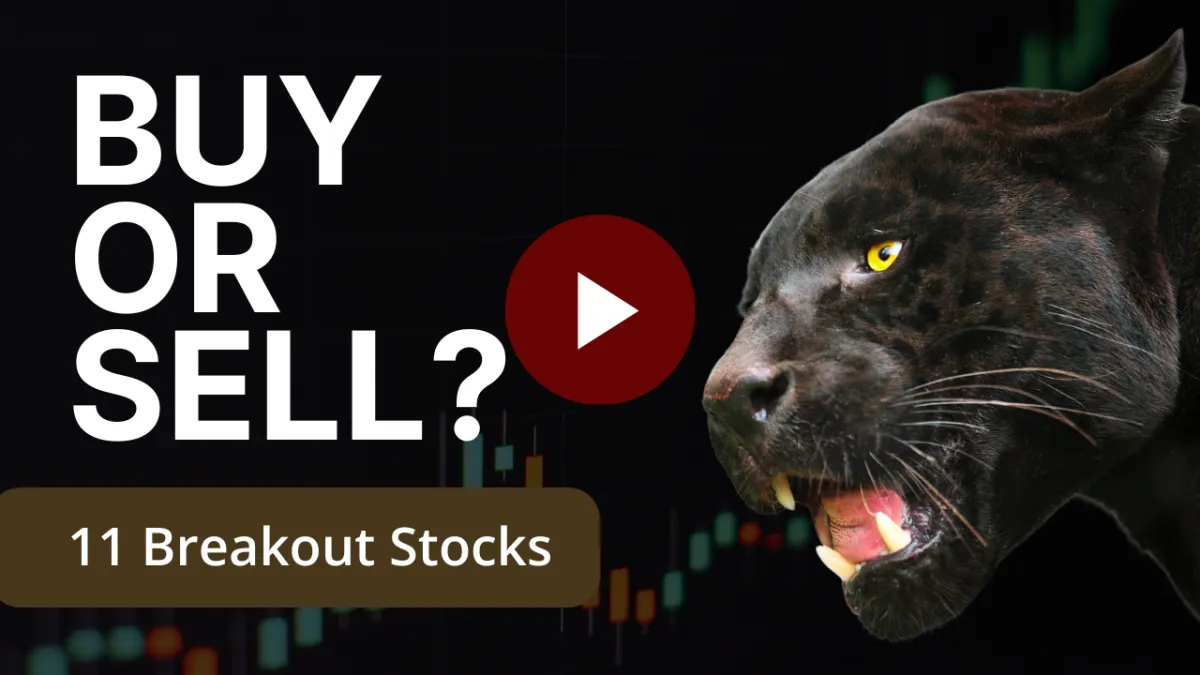 The PNTHR’s Perch — Week of Nov 24-28, 2025: Stocks & Strategy