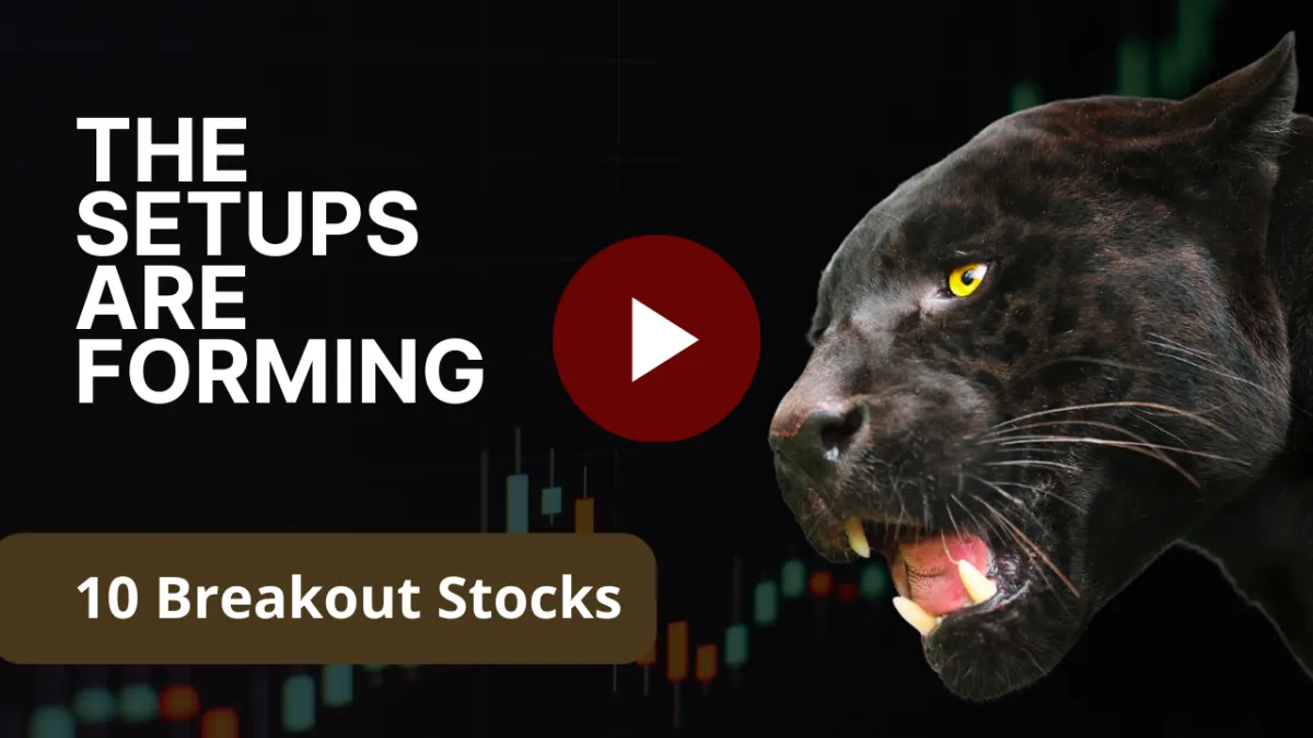 The PNTHR’s Perch — Week of Dec 1-5, 2025: Stocks & Strategy