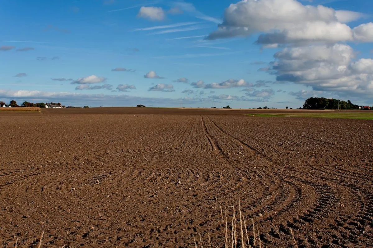 Lei dos solos: em nove meses entraram cinco pedidos de reconversão e nenhum foi para habitação a custos moderados, alertam urbanistas