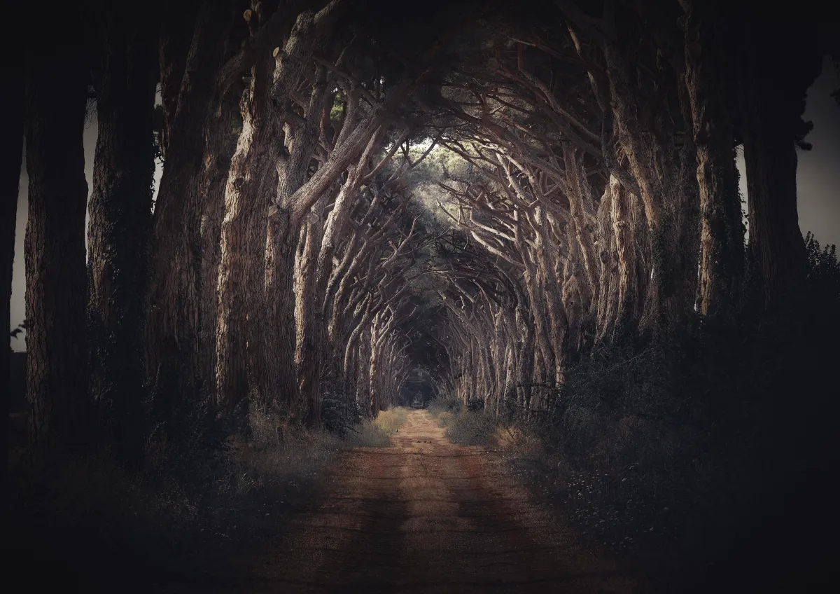 Overcoming Fear: The Ambitious Man's Guide to Personal Fulfillment