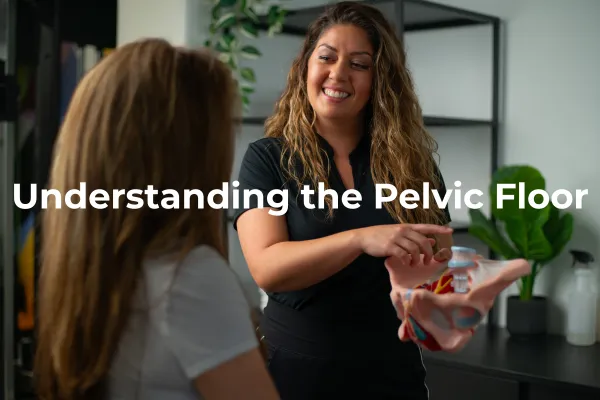 Understanding the Pelvic Floor: What It Is and How Pelvic Floor Therapy Can Help