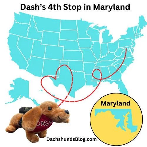 Dash Maryland