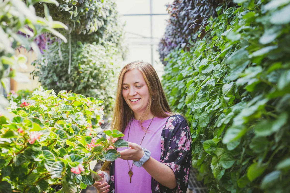Crafting an Effective Marketing Plan for Your Garden Center