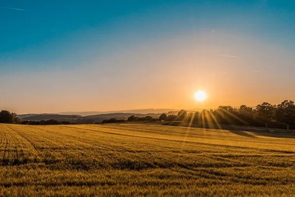 A Comprehensive Guide to Land Appraisal: Factors to Consider