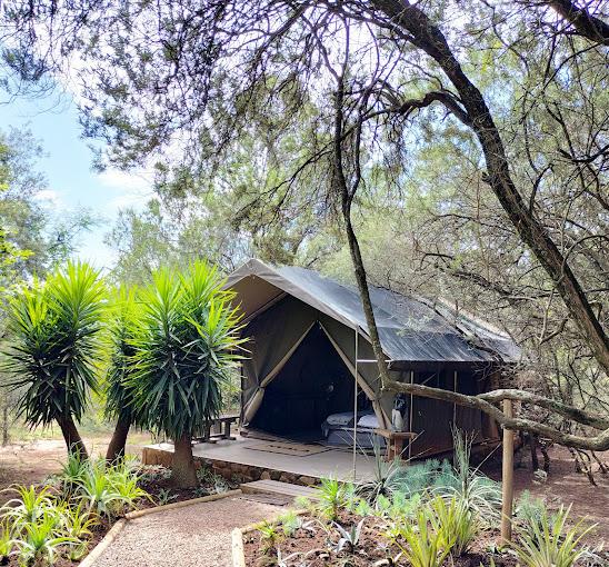 cost-effective lodge