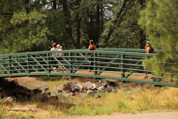 Bridge with friends crossing