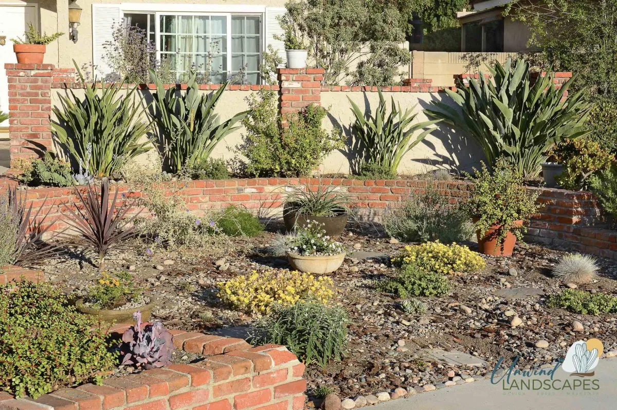 How to Choose the Right Plants for the Arizona Desert Climate