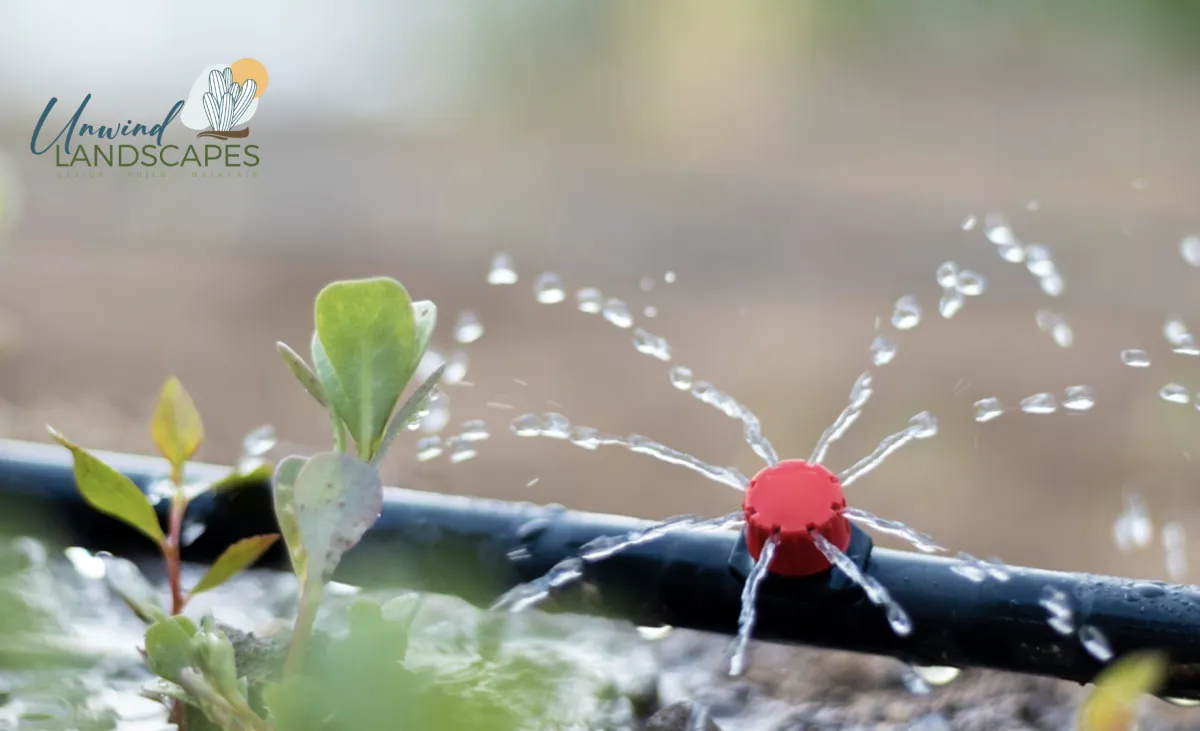 How Can I Lower My Water Bill with Smart Desert Landscaping?