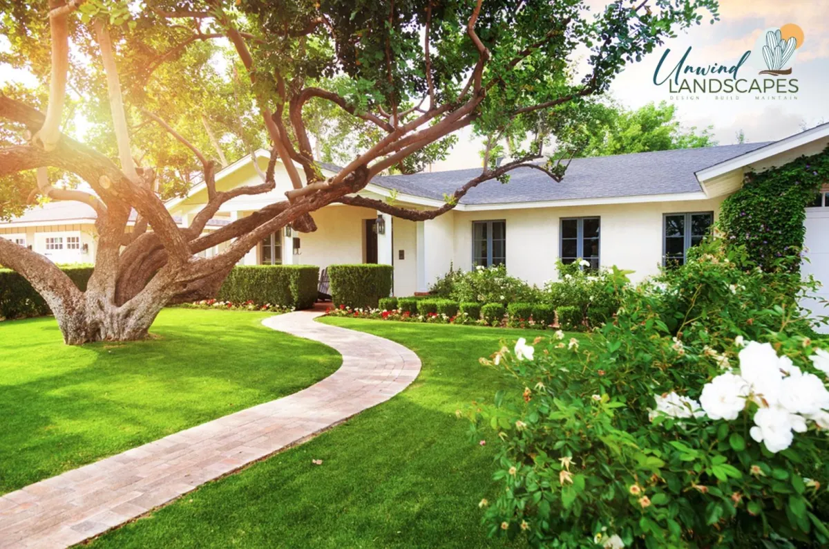 The Best Trees to Thrive in the Summer Heat of Phoenix, AZ
