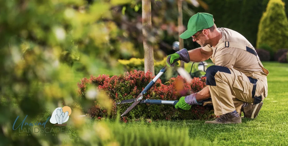 Seasonal Yard Care in Phoenix: What to Do Each Season for a Healthy Landscape