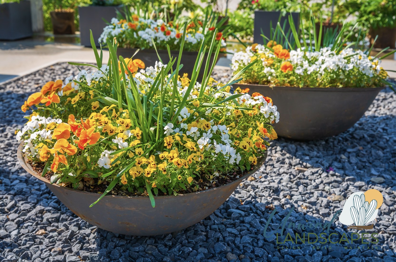 The Role of Decorative Rock in Phoenix Landscaping: Style Meets Function